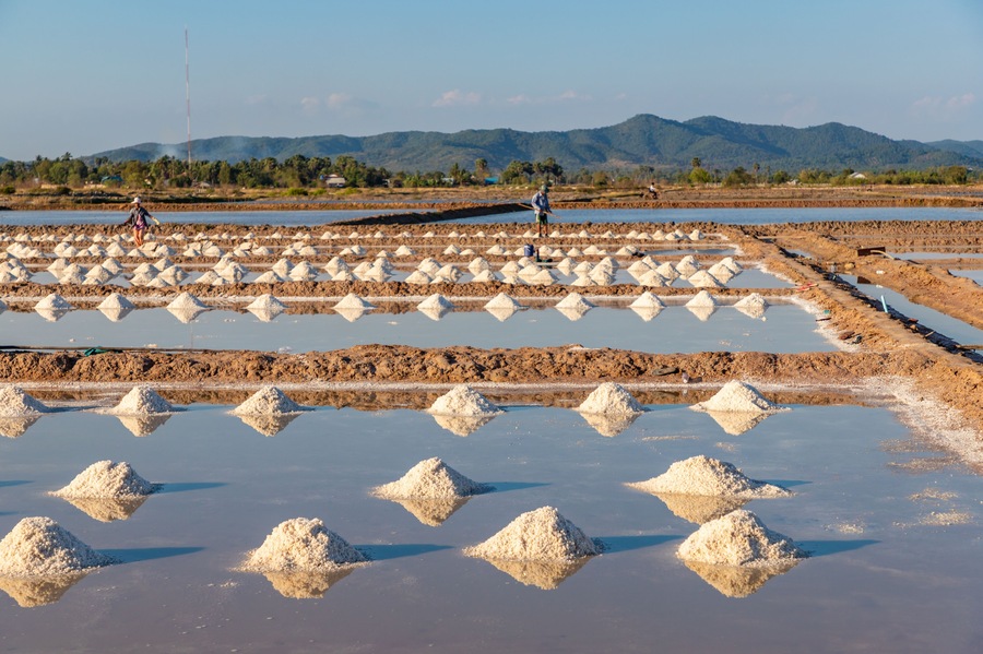 KEP / CAMBODIA - FEBRUARY 18, 2019: Workers cleaning and preparing the evaporation pond of a salt field before letting in seawater for the next harvest.