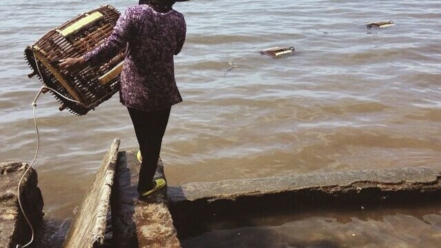 Believe it or not the ones who go out to sea for the crabs are women and they are called the Crab Women of Kep. They sit at the crab market and take the crabs out once you place an order. 1kg is roughly $5-$7.
More on Kep: http://bit.ly/1Bi9yLI