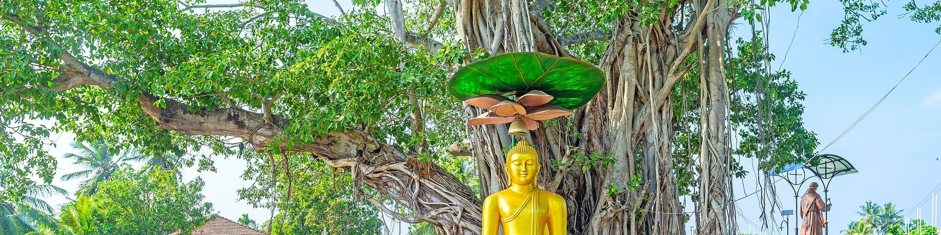 The statue of Buddha at Hamilton's Canal in Wattala