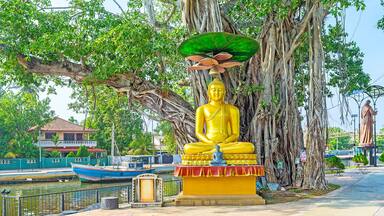 The statue of Buddha at Hamilton's Canal in Wattala