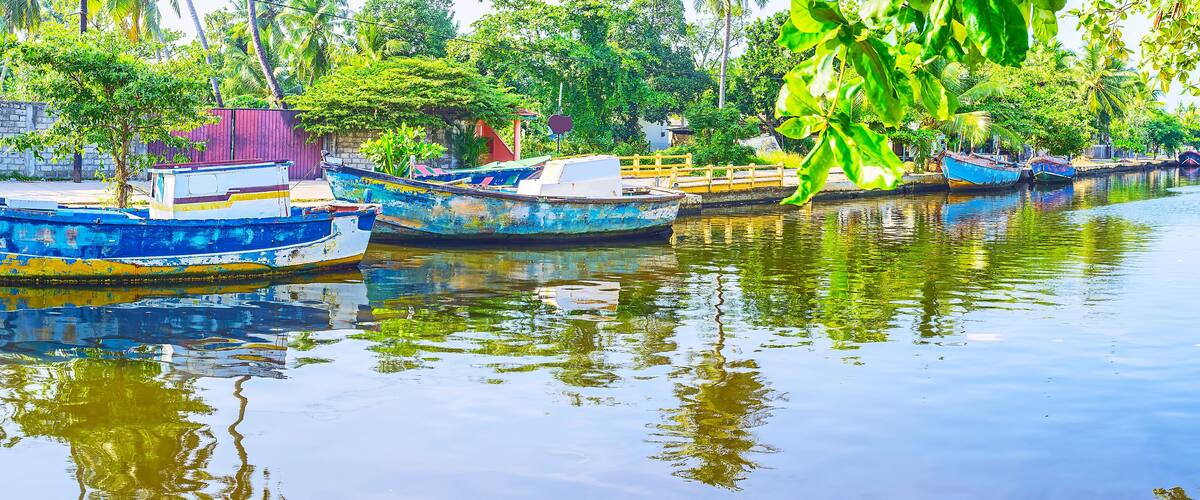 A calm river with several boats docked along the shore, surrounded by lush greenery and palm trees.