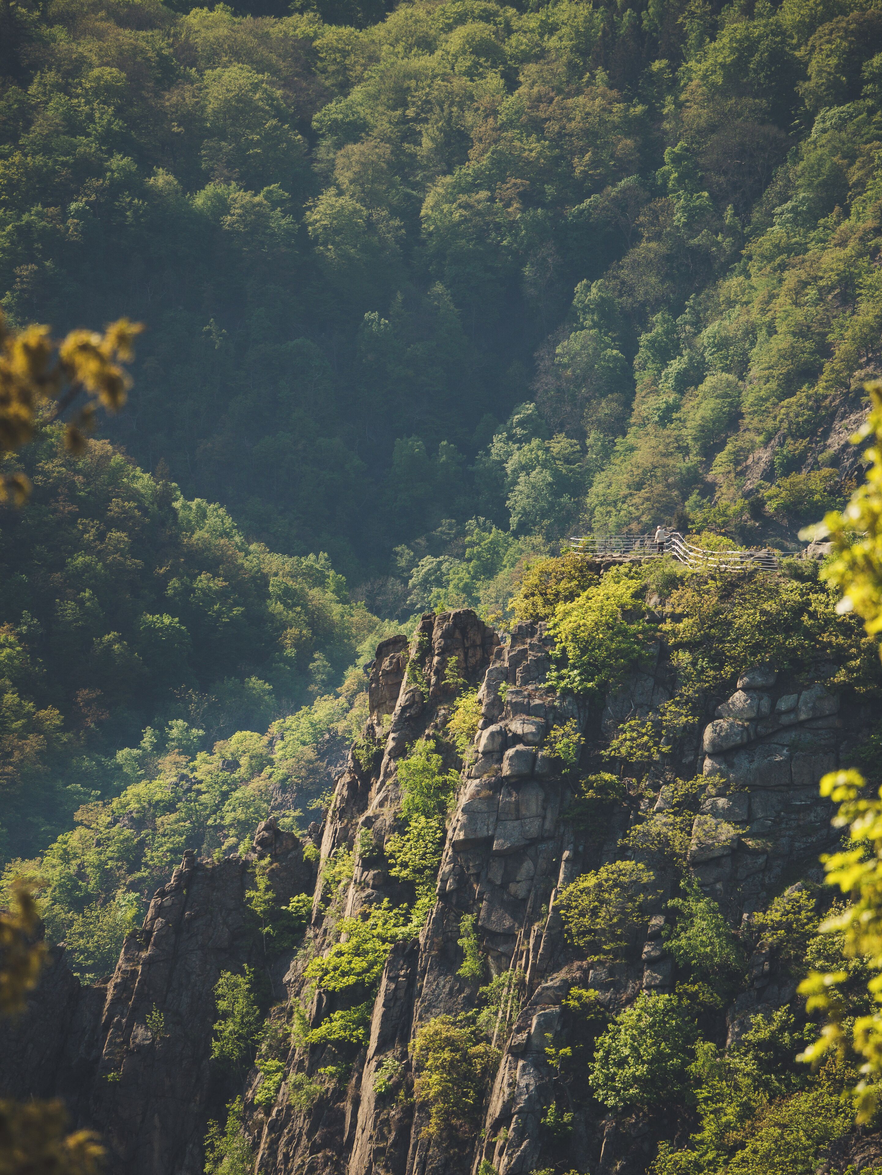 View of the Rosstrappe from the Hexentanzplatz in Thale (Harz) 