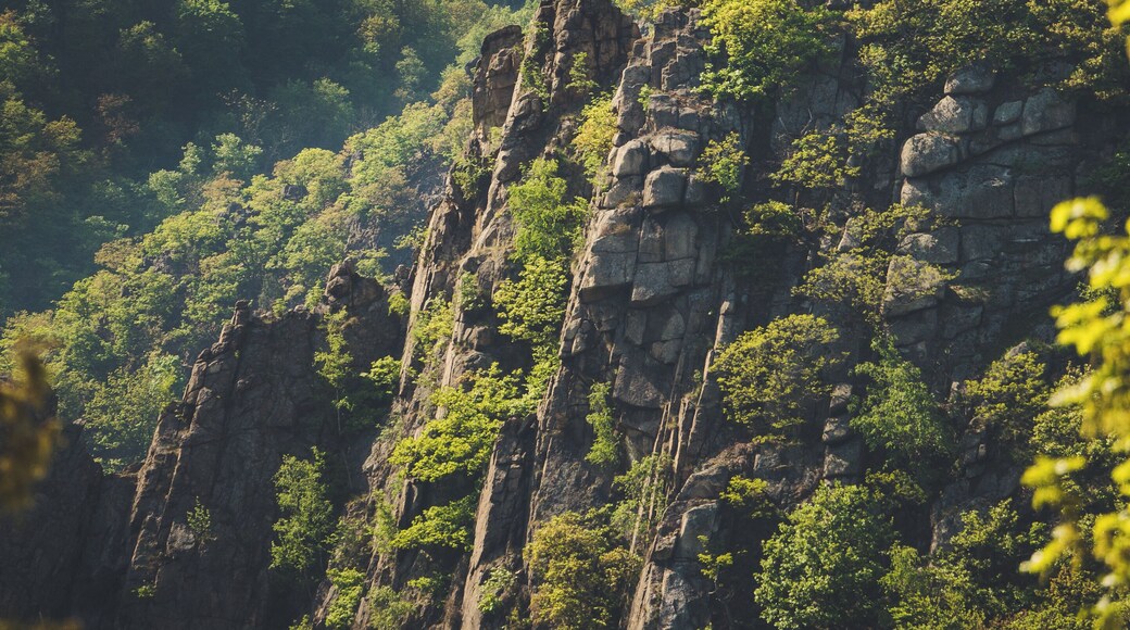 View of the Rosstrappe from the Hexentanzplatz in Thale (Harz)