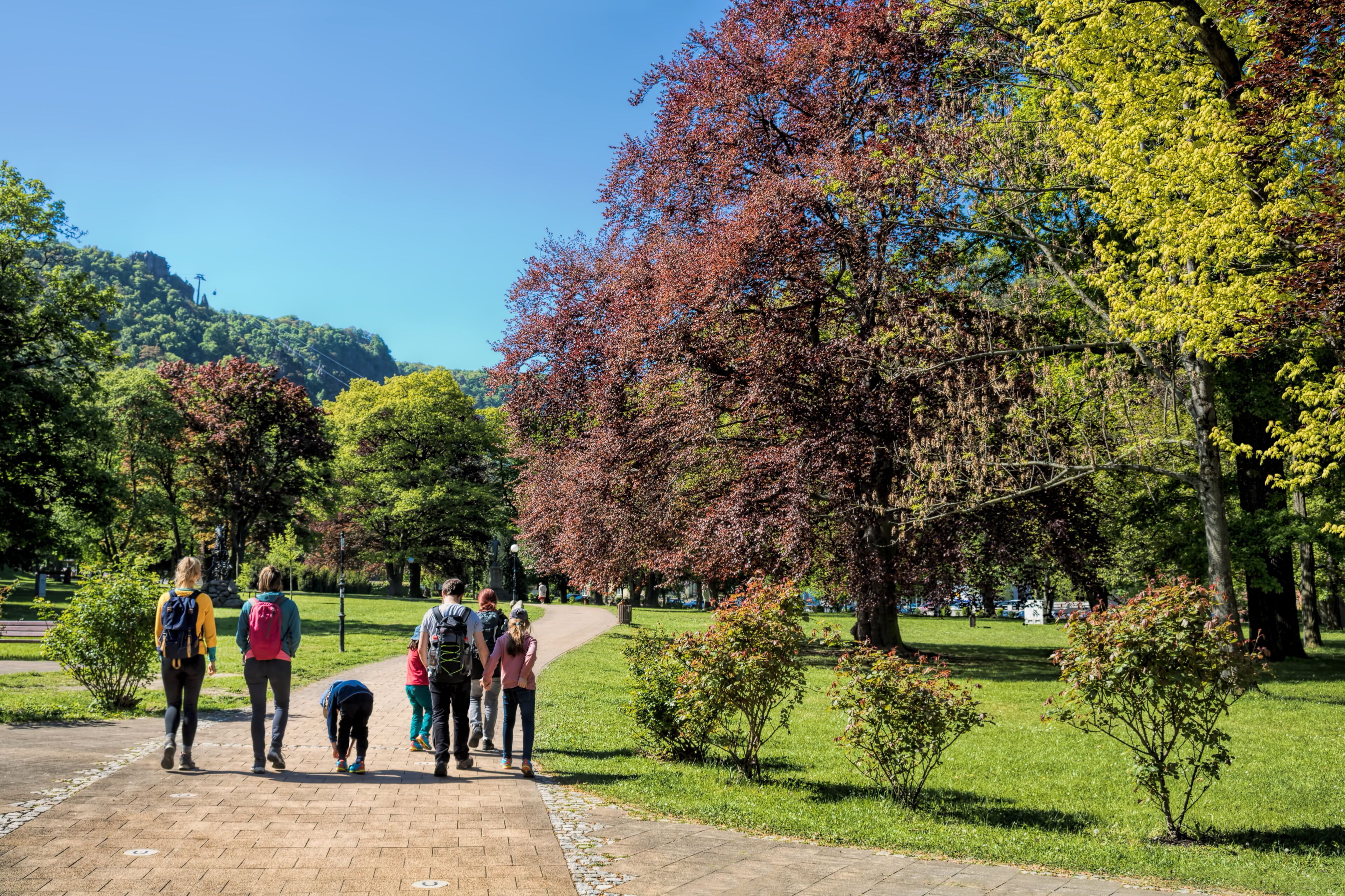 A group of people walking on a paved path in a park with trees and grass.