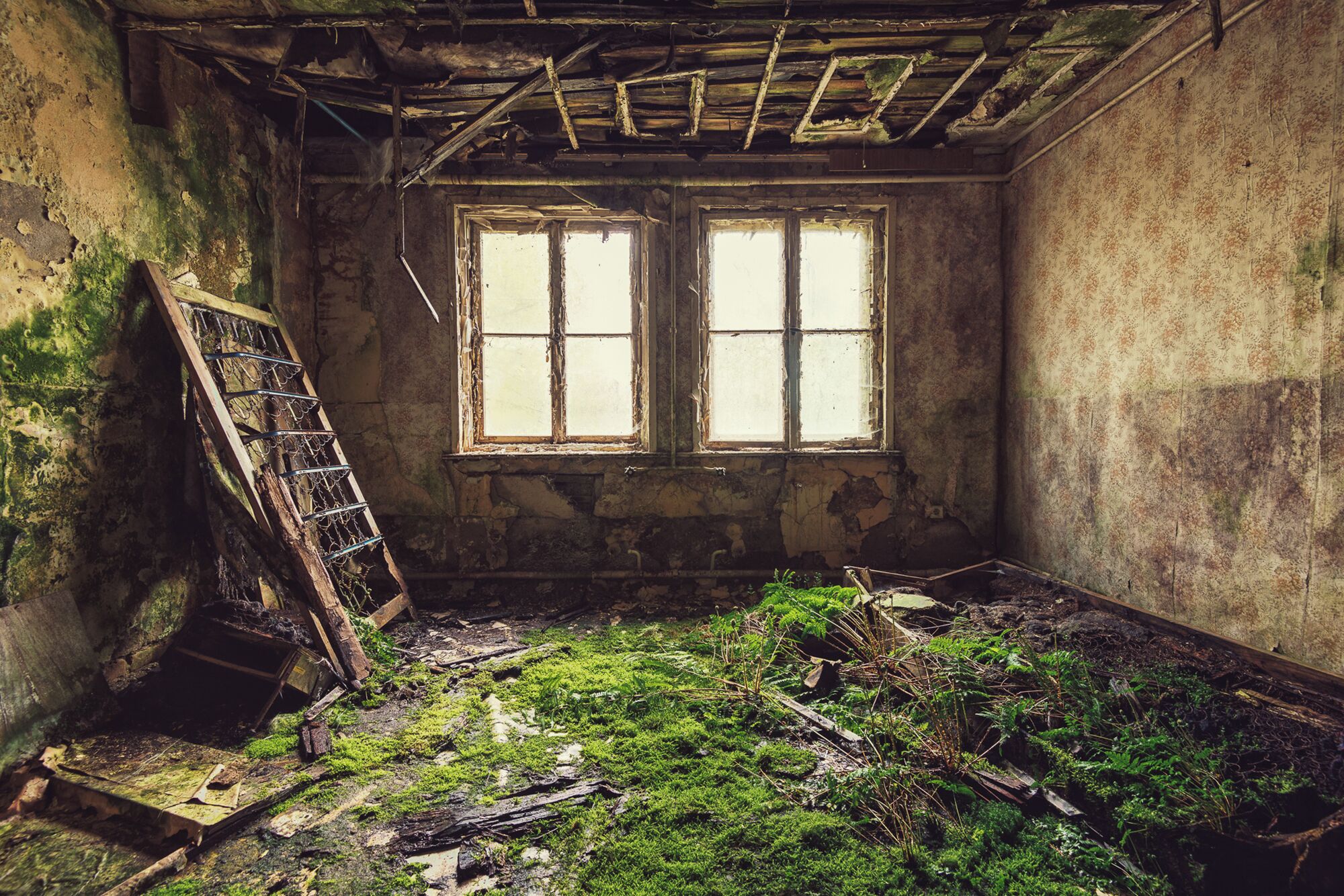 Abandoned FDGB #green