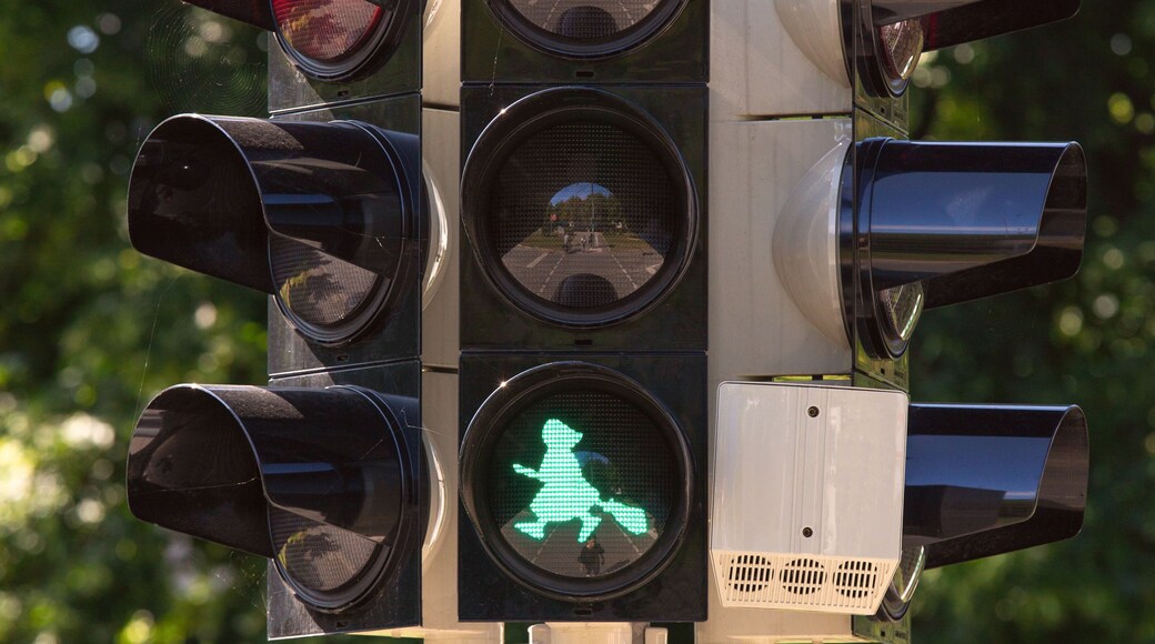 Image of a witch on a broomstick at a traffic light in Wernigerode. Germany.