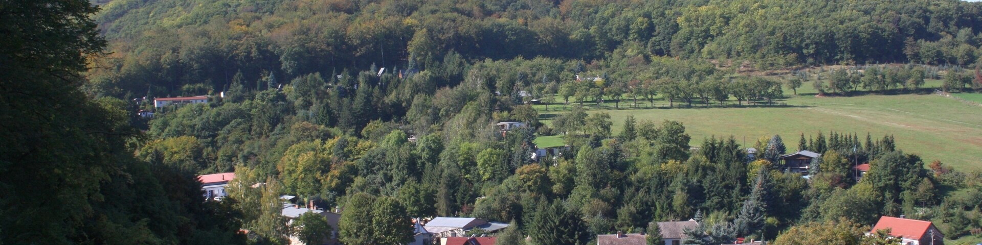 Harz Stecklenberg Wanderung Stecklenburg - Lauenburg -Blick ins Wurmtal
