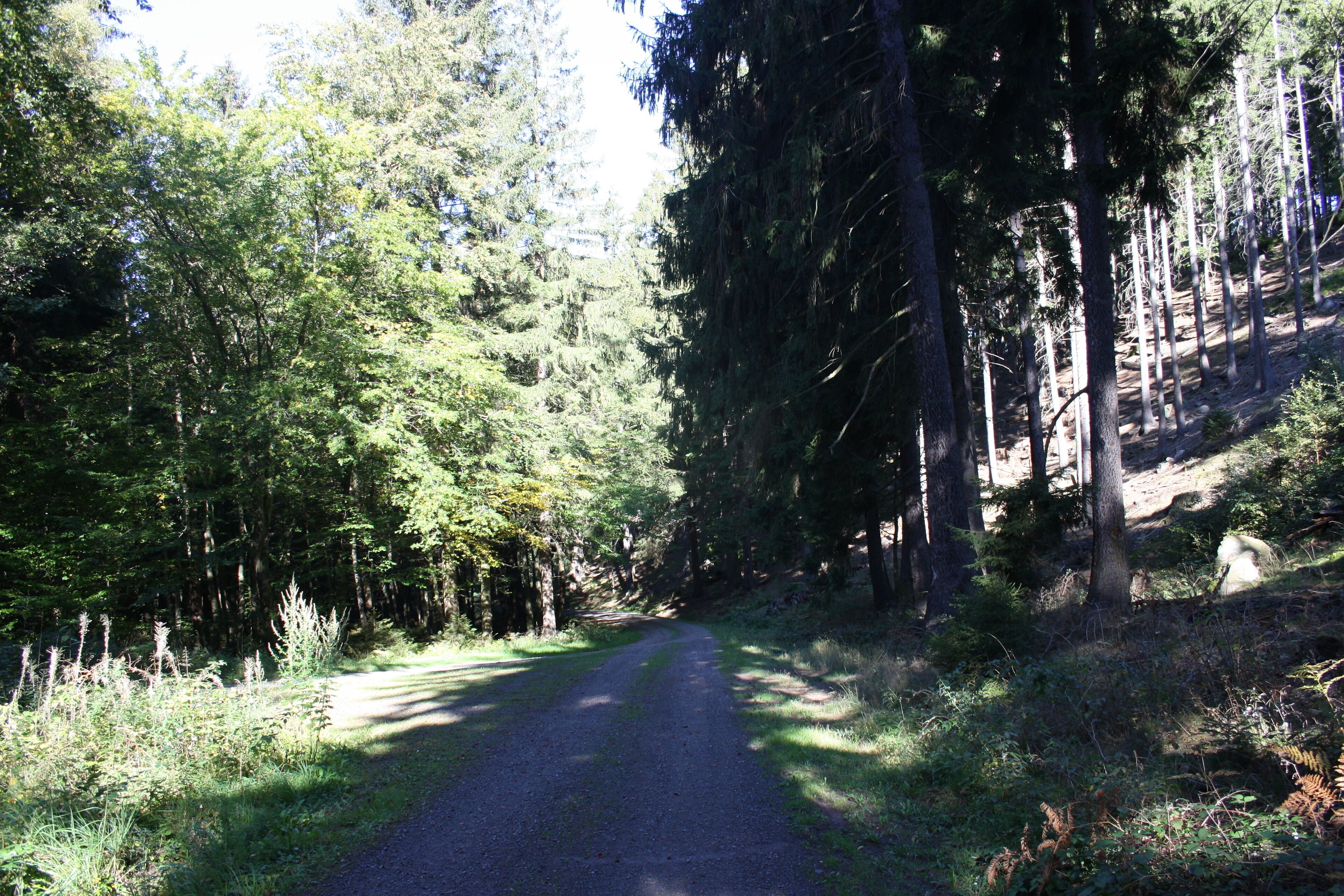 Harz Wanderung Stecklenberg - Rundweg über das Wurmtal und der Hochfläche