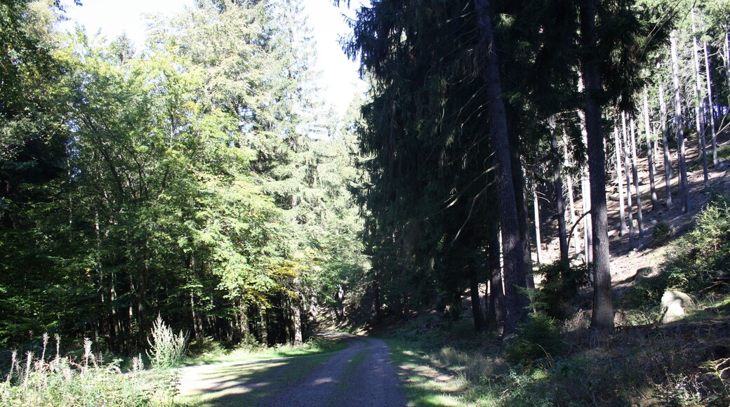 Harz Wanderung Stecklenberg - Rundweg über das Wurmtal und der Hochfläche