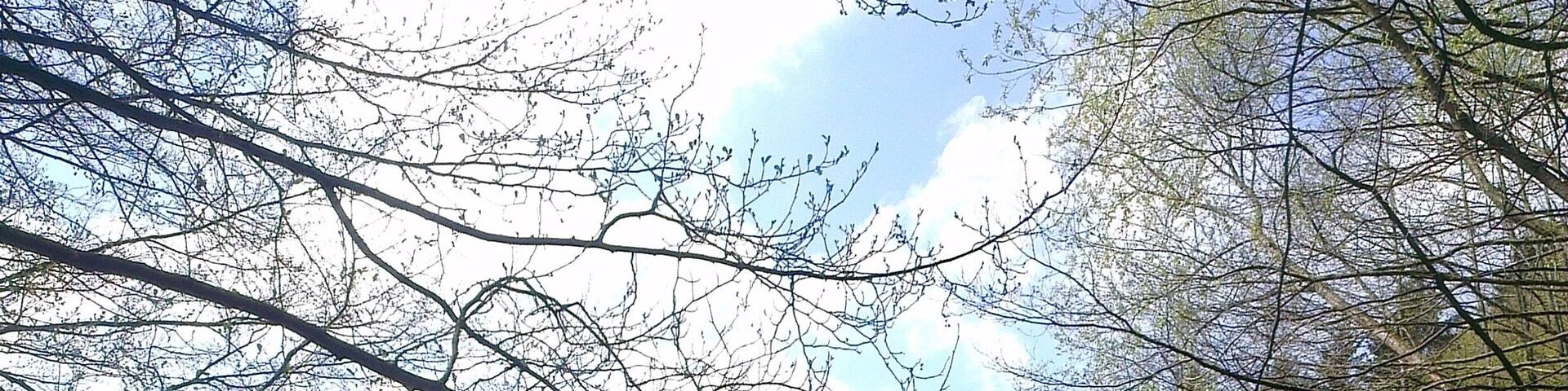 Altenbrak (Landkreis Harz, Sachsen-Anhalt) Bode mit Furt zwischen Altenbrak und Wendefurth