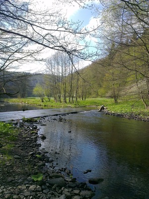 Altenbrak (Landkreis Harz, Sachsen-Anhalt) Bode mit Furt zwischen Altenbrak und Wendefurth