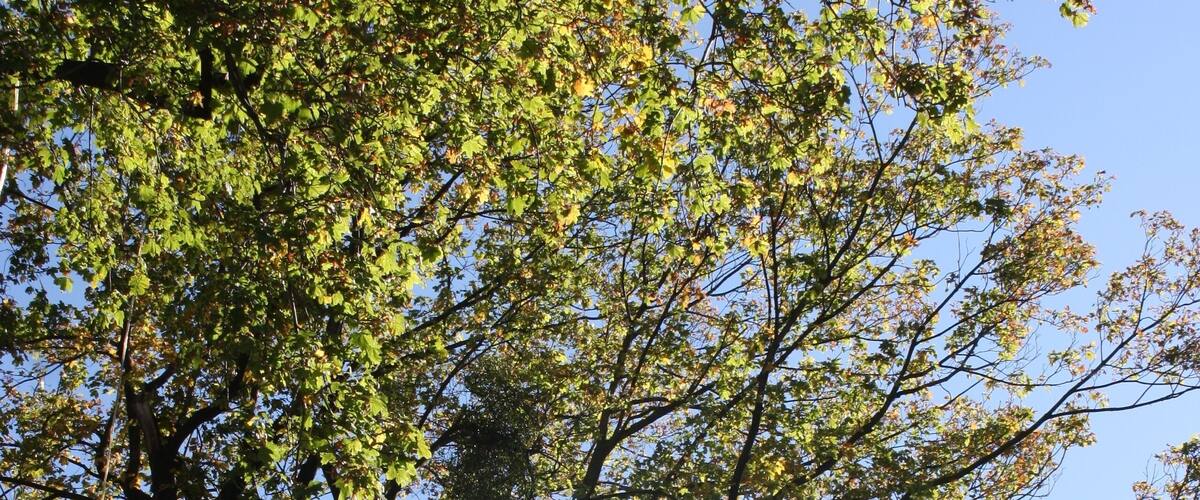 Harz Stecklenberg Wanderung Lauenburg im Herbst