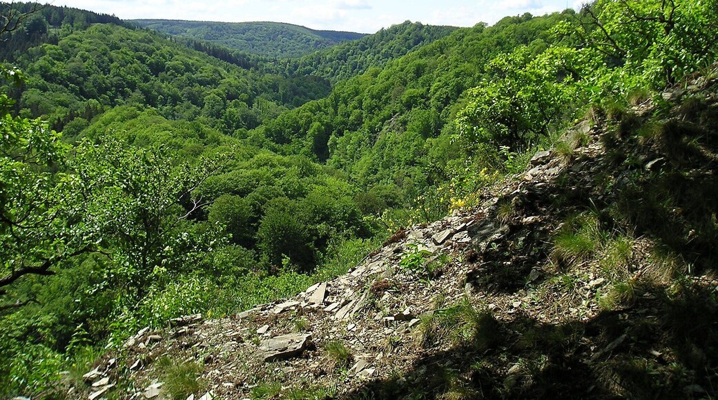 Blick ins Bodetal von der Nordseite