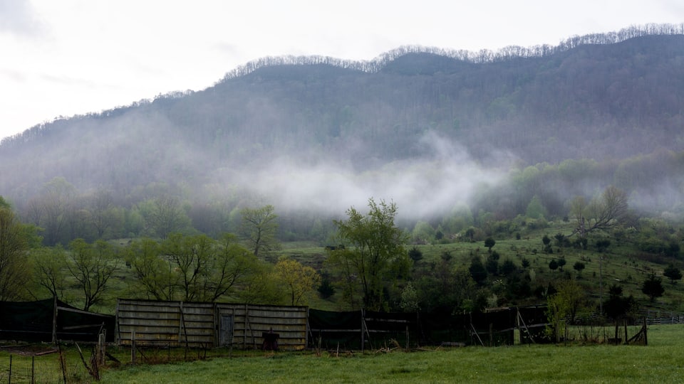 A misty valley with a wooden fence and a small shed.