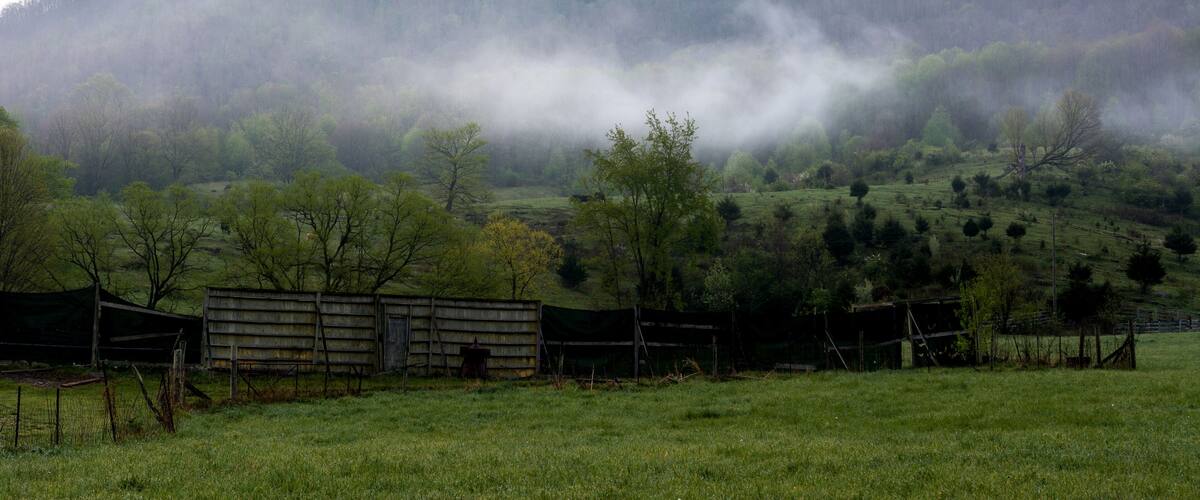 A misty valley with a wooden fence and a small shed.