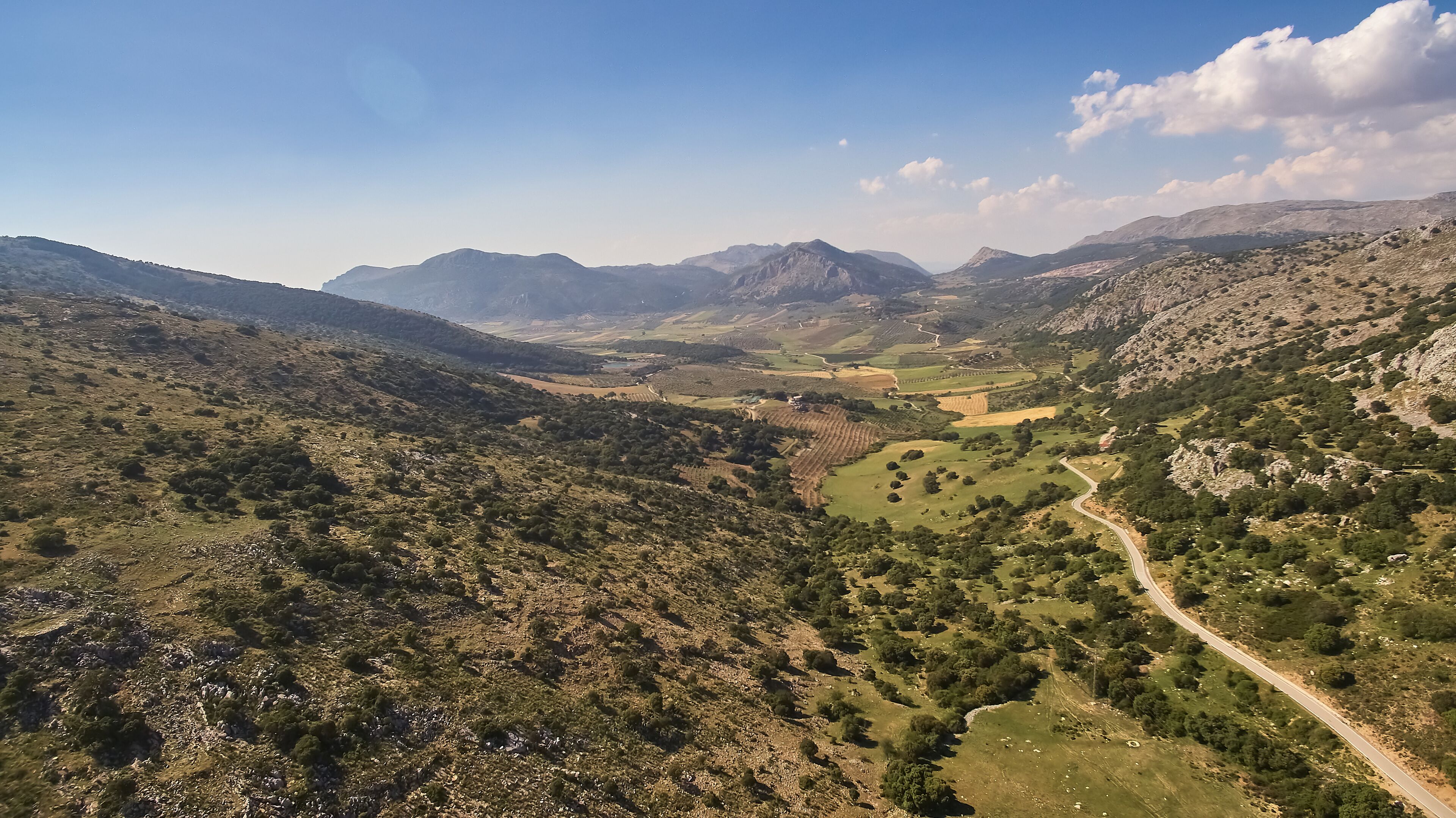 A mountainous landscape with a winding road, terraced fields, and scattered trees.