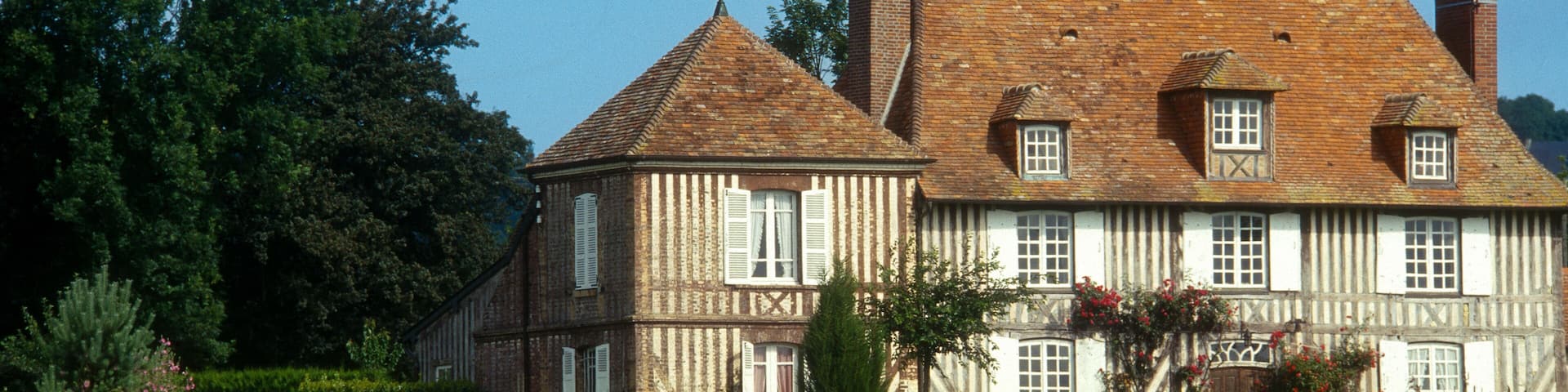 Vache Normanche, Deauville, 14, Calvados, France