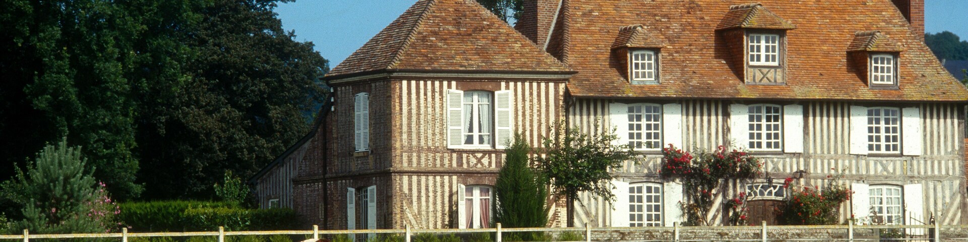 Vache Normanche, Deauville, 14, Calvados, France