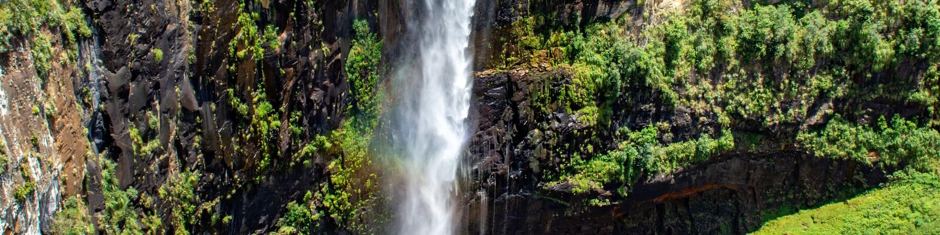 A waterfall cascading down a cliff surrounded by lush greenery.