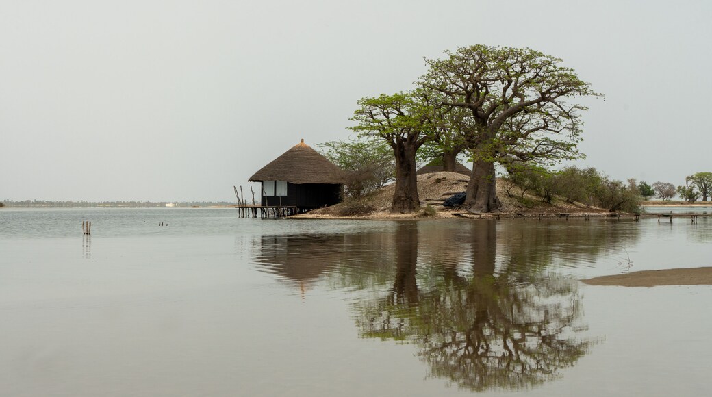 伊勒德迪欧尼瓦