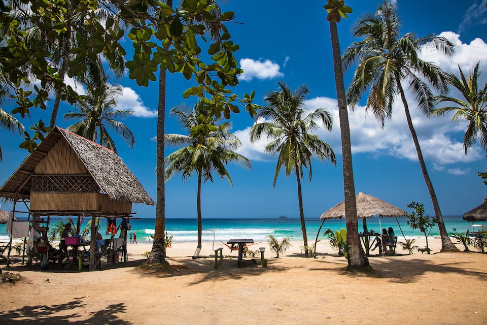 A beach with palm trees, a hut, and a thatched umbrella.