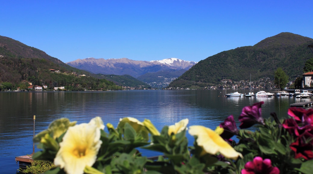 Frühling am Lago di Lugano fotografiert von der Uferpromenade des Seeortes Porto Ceresio.Porto Ceresio ist eine Gemeinde mit ca. 3000 Einwohnern in der Provinz Varese (Lombardei) direkt gegenüber dem Schweizer Tessin.