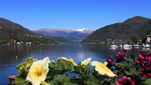 Frühling am Lago di Lugano fotografiert von der Uferpromenade des Seeortes Porto Ceresio.Porto Ceresio ist eine Gemeinde mit ca. 3000 Einwohnern in der Provinz Varese (Lombardei) direkt gegenüber dem Schweizer Tessin.
