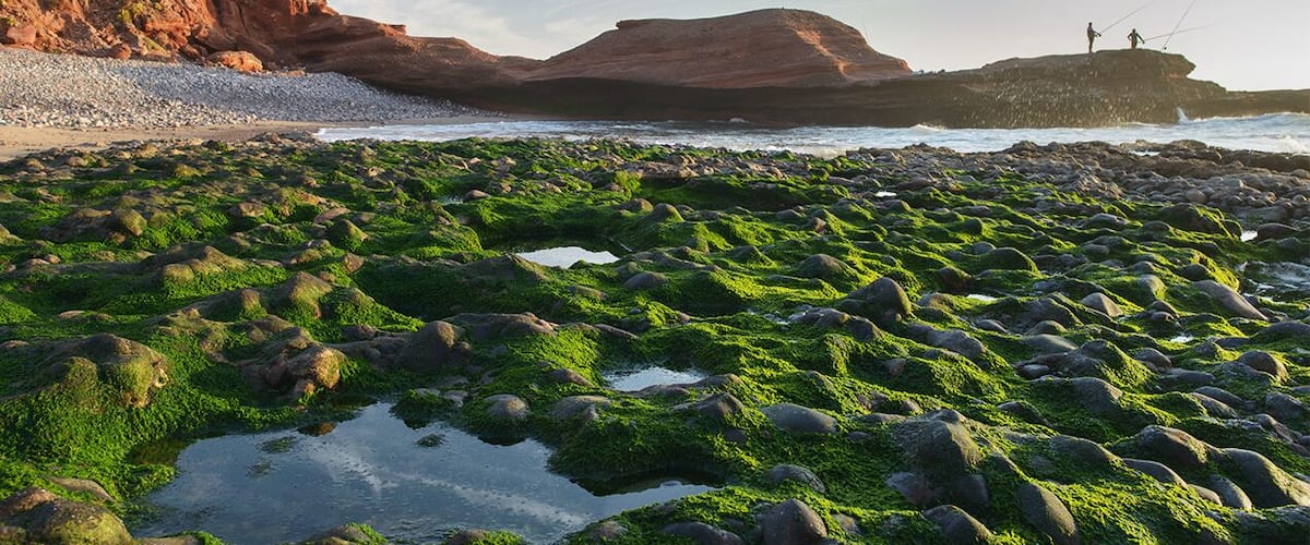 Legzira beach, Atlantic coast, Morocco