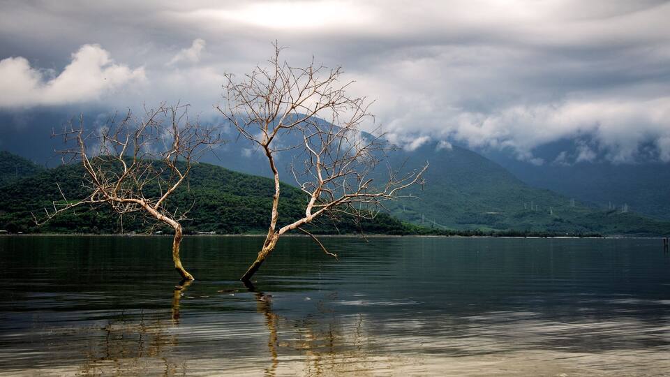 A lake with two leafless trees in the foreground and a mountain range in the background.