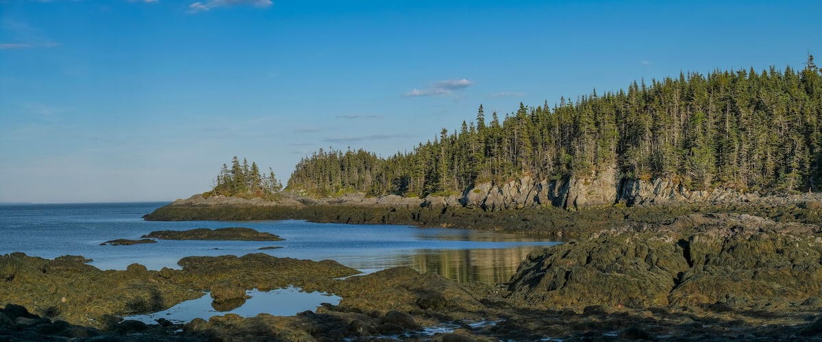 A coastal landscape with rocky shores, calm water, and dense forest.