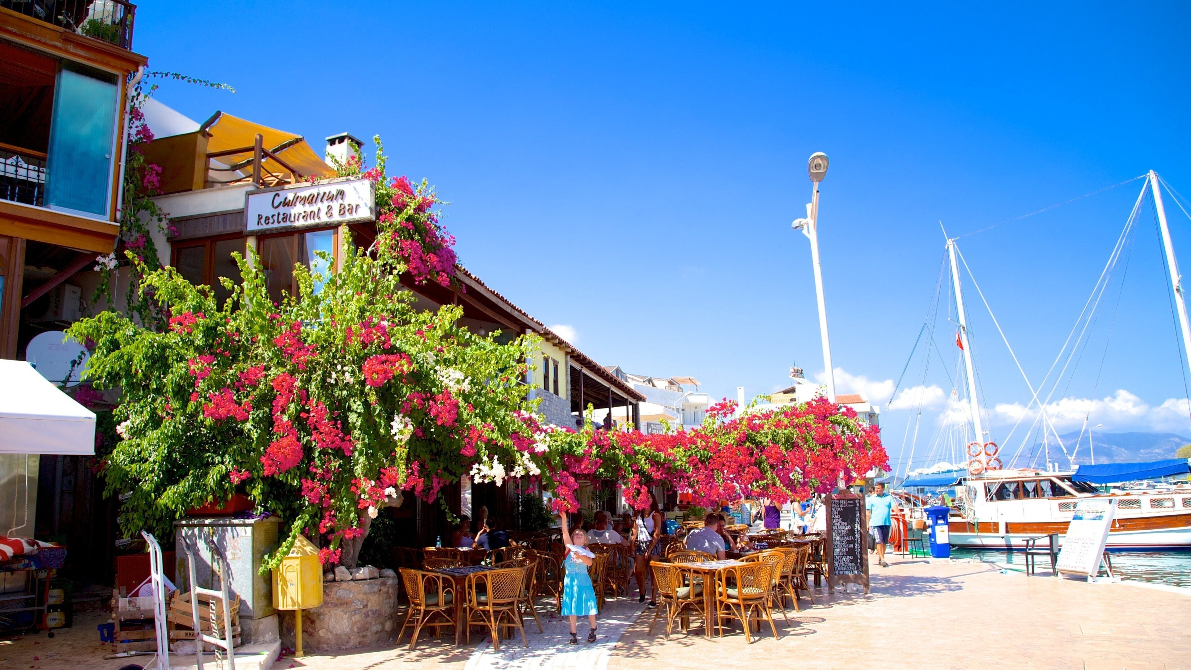 Datca Ferry Port featuring flowers