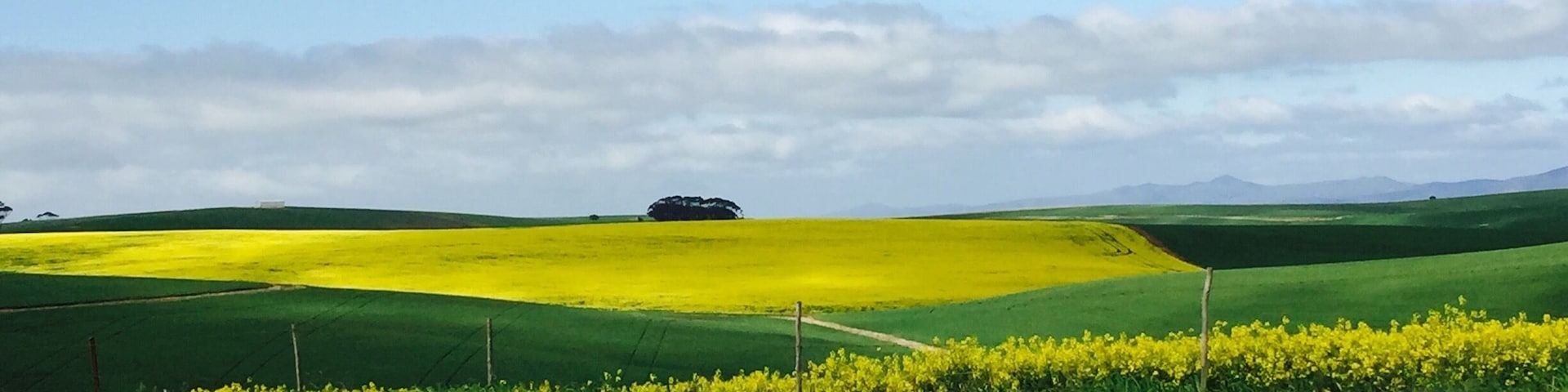 Garden Route, SA