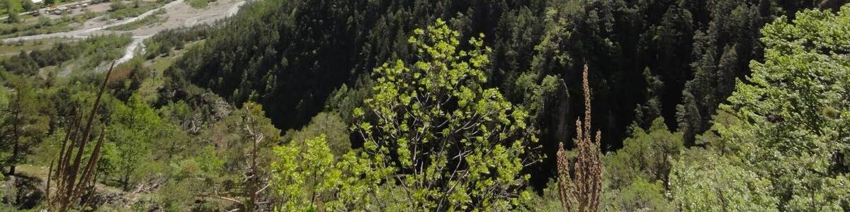 06660 Saint-Étienne-de-Tinée, France