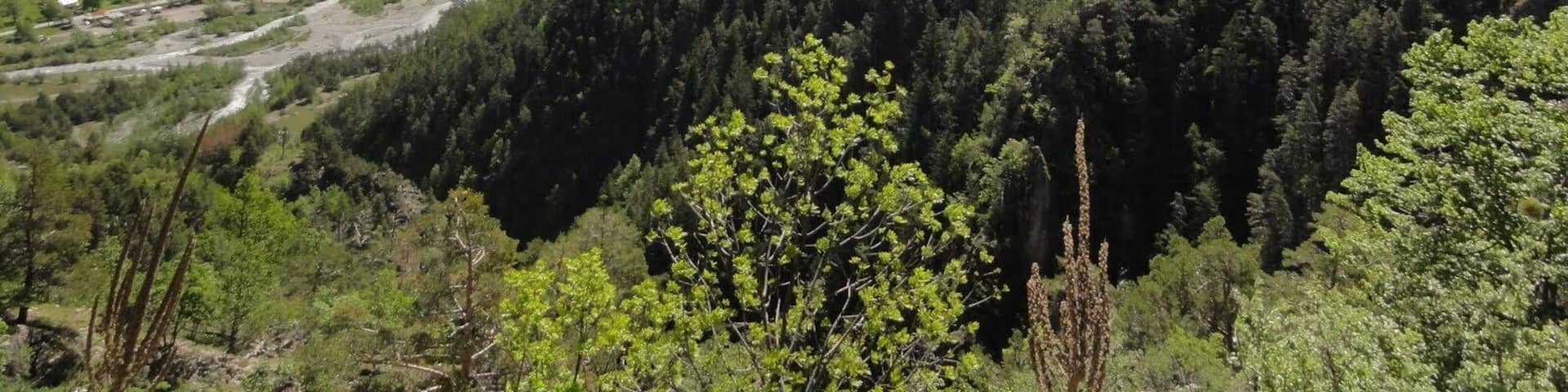 06660 Saint-Étienne-de-Tinée, France