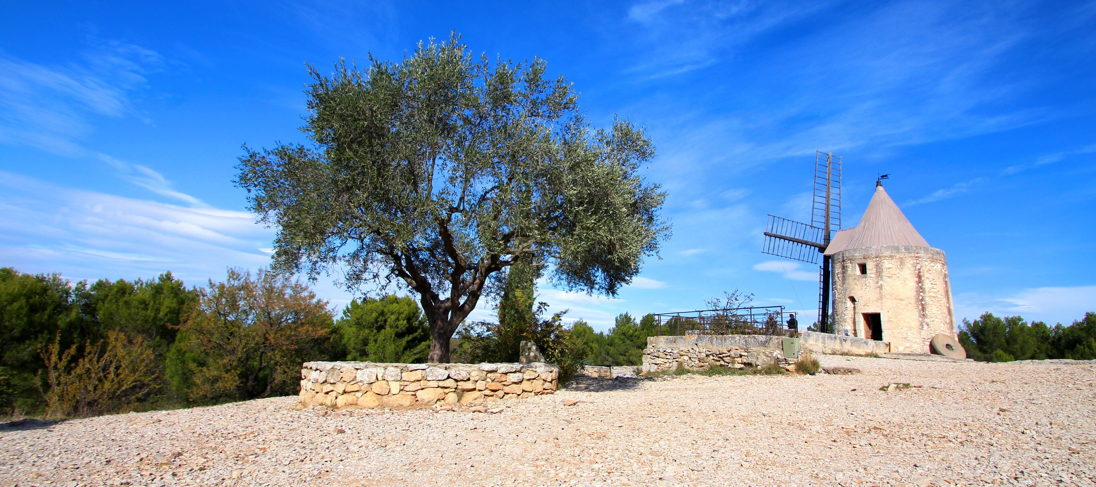 Moulin de Daudet à Fontvieille / Provence (France)