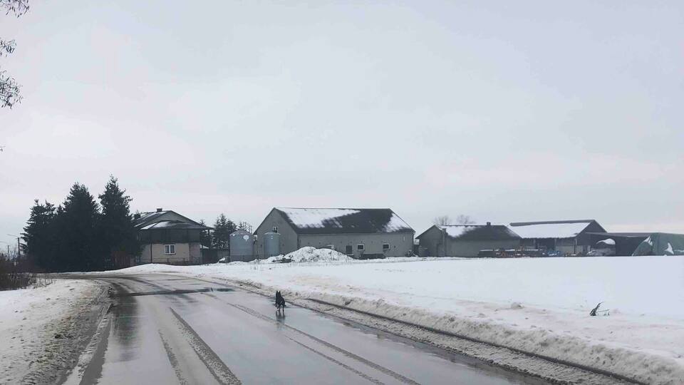 A snow-covered road with buildings in the background.