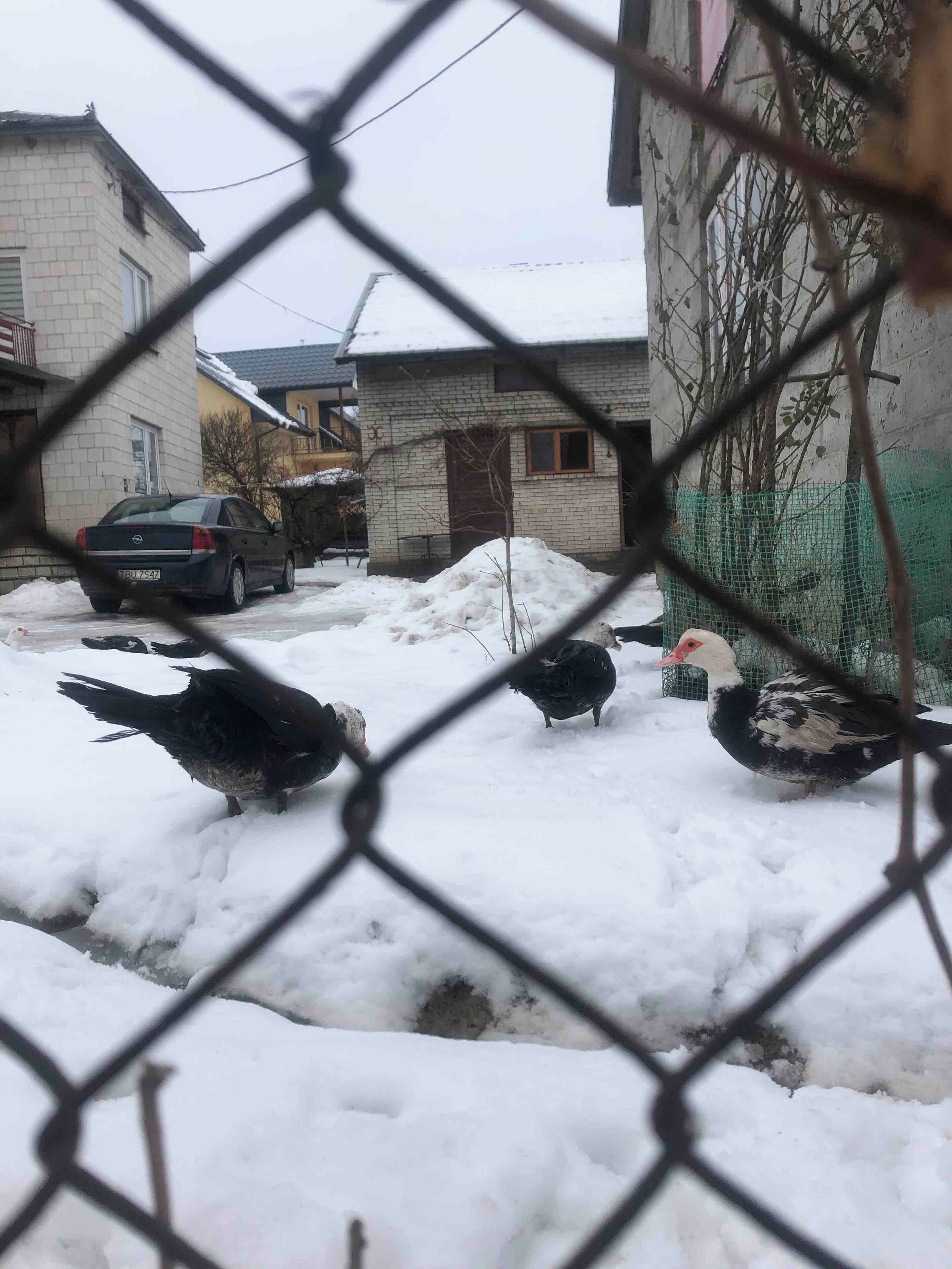 Running through farm land and small clusters of farm houses. Interesting landscape and neat to see country living