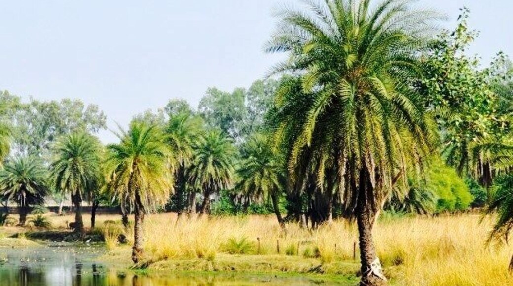 #aquatrove
There is always something fascinating about these mirror image pictures 😀
One must visit bhopal for its lakes and greenery and cultural heritage. Its a small beautiful city.
#waterlust