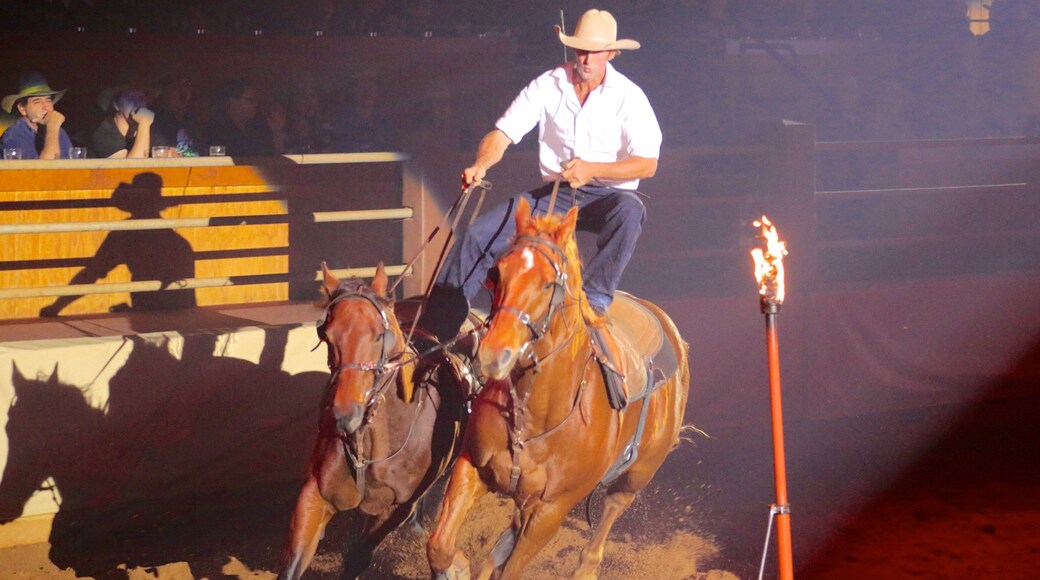 Australian Outback Spectacular showing performance art, interior views and land animals