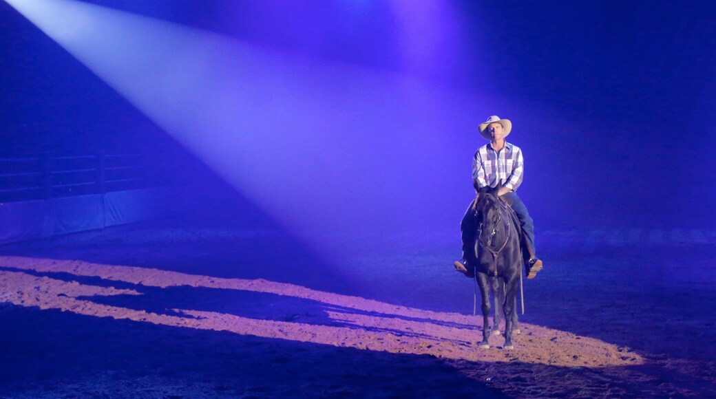 Australian Outback Spectacular que incluye acciones artísticas, equitación y vistas de interior