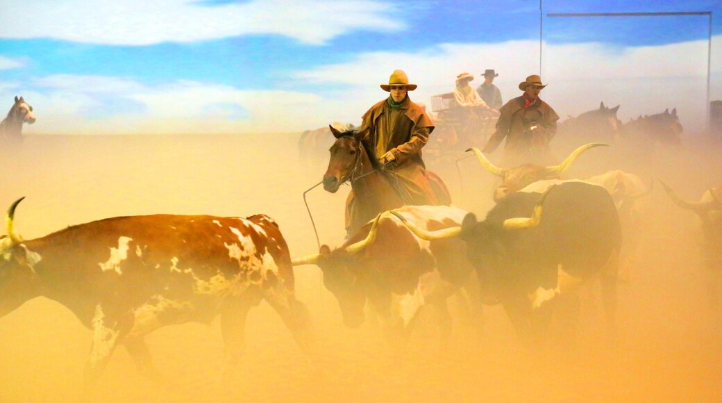 Australian Outback Spectacular featuring horseriding, land animals and performance art