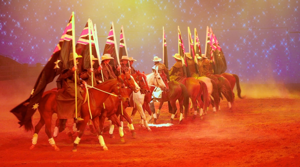 Australian Outback Spectacular welches beinhaltet Innenansichten, Reiten und Landtiere
