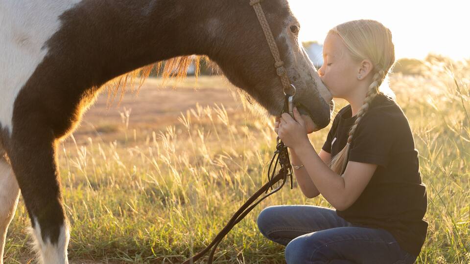 A person interacting with a horse in a grassy field.