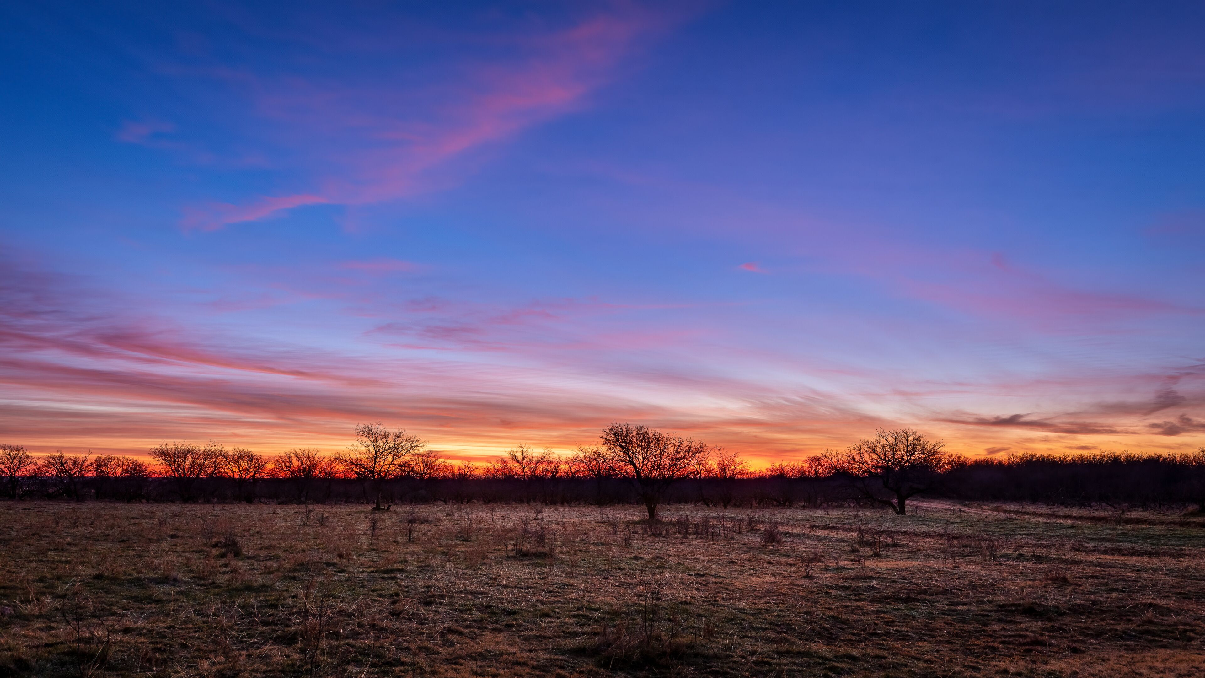 A sunset over a field with sparse trees silhouetted against a colorful sky.