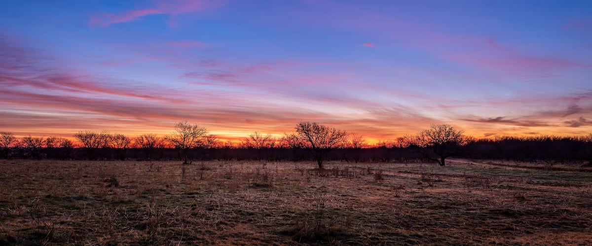 A sunset over a field with sparse trees silhouetted against a colorful sky.