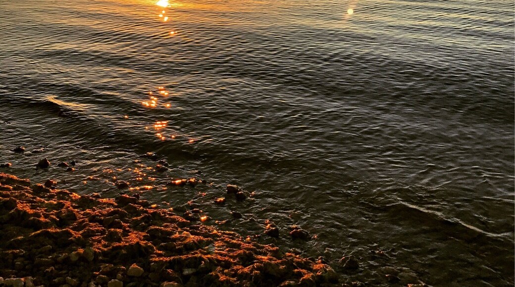 McCown Valley at Lake Whitney is a great place to go camping! We go every year for Father's Day!