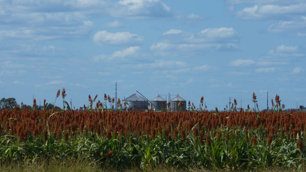 Countryside