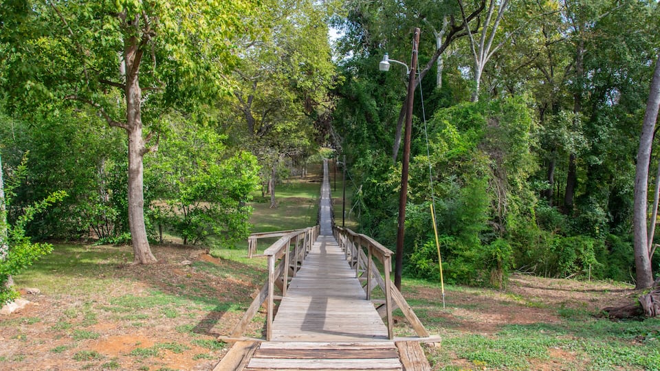 A wooden bridge in a forested area with a dirt path leading through it.
