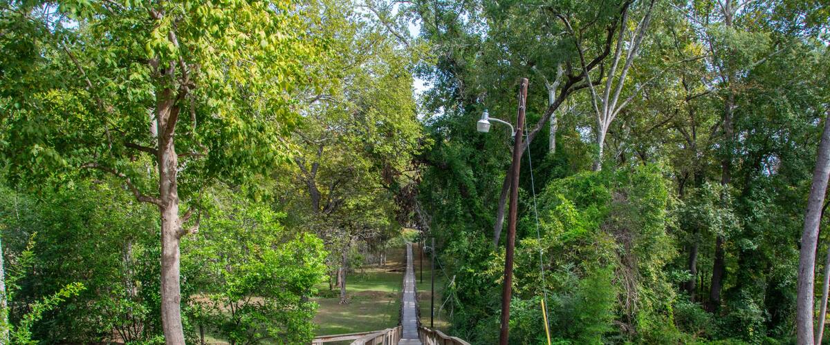 A wooden bridge in a forested area with a dirt path leading through it.
