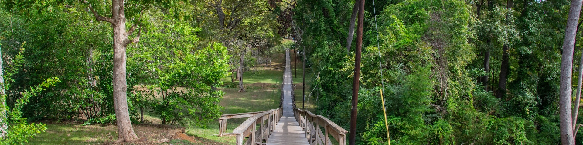 A wooden bridge in a forested area with a dirt path leading through it.